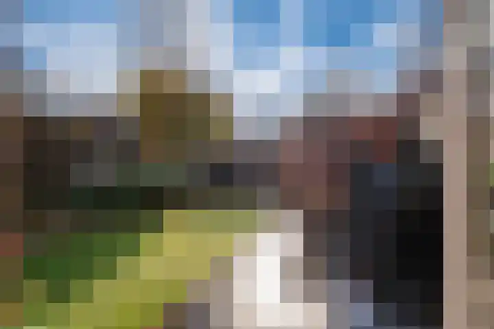 Diepvoorde 3208 Wijchen thumbnail 21