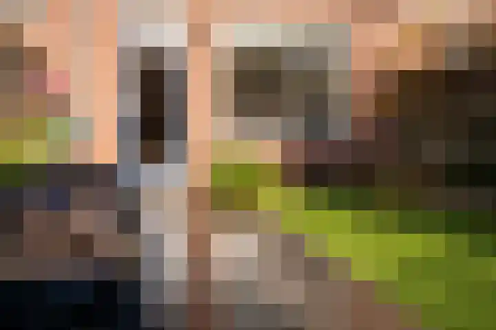 Diepvoorde 3208 Wijchen thumbnail 24