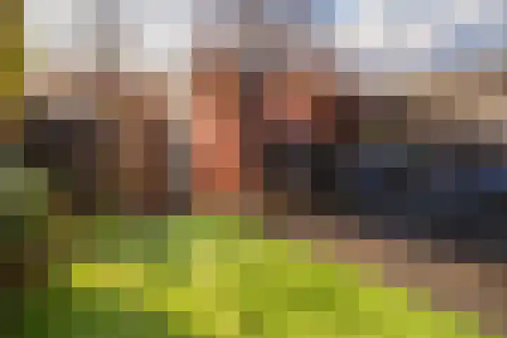 Diepvoorde 3208 Wijchen thumbnail 25