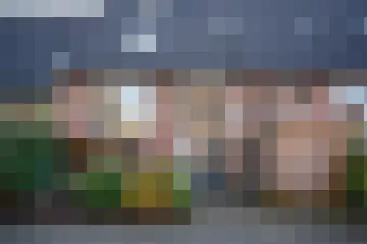 Diepvoorde 3208 Wijchen thumbnail 43