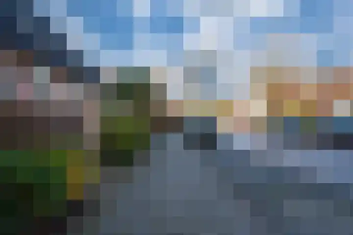 Diepvoorde 3208 Wijchen thumbnail 44