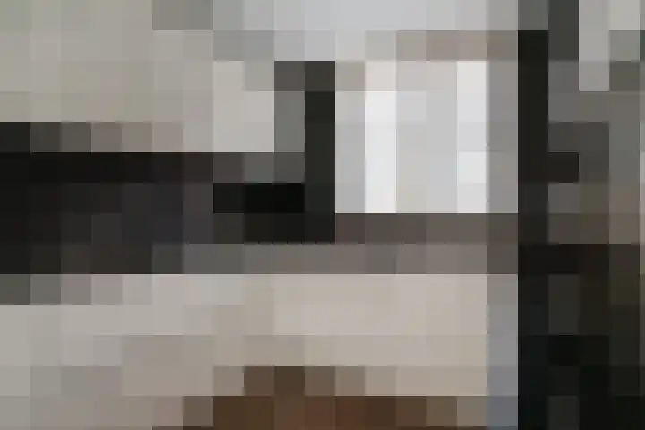 Diepvoorde 3208 Wijchen thumbnail 8