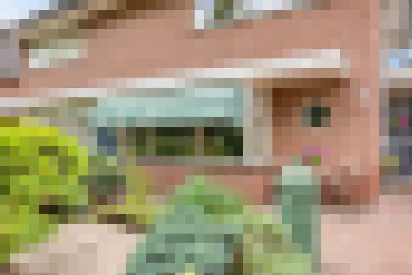 Dierdonklaan 29 Helmond thumbnail 10