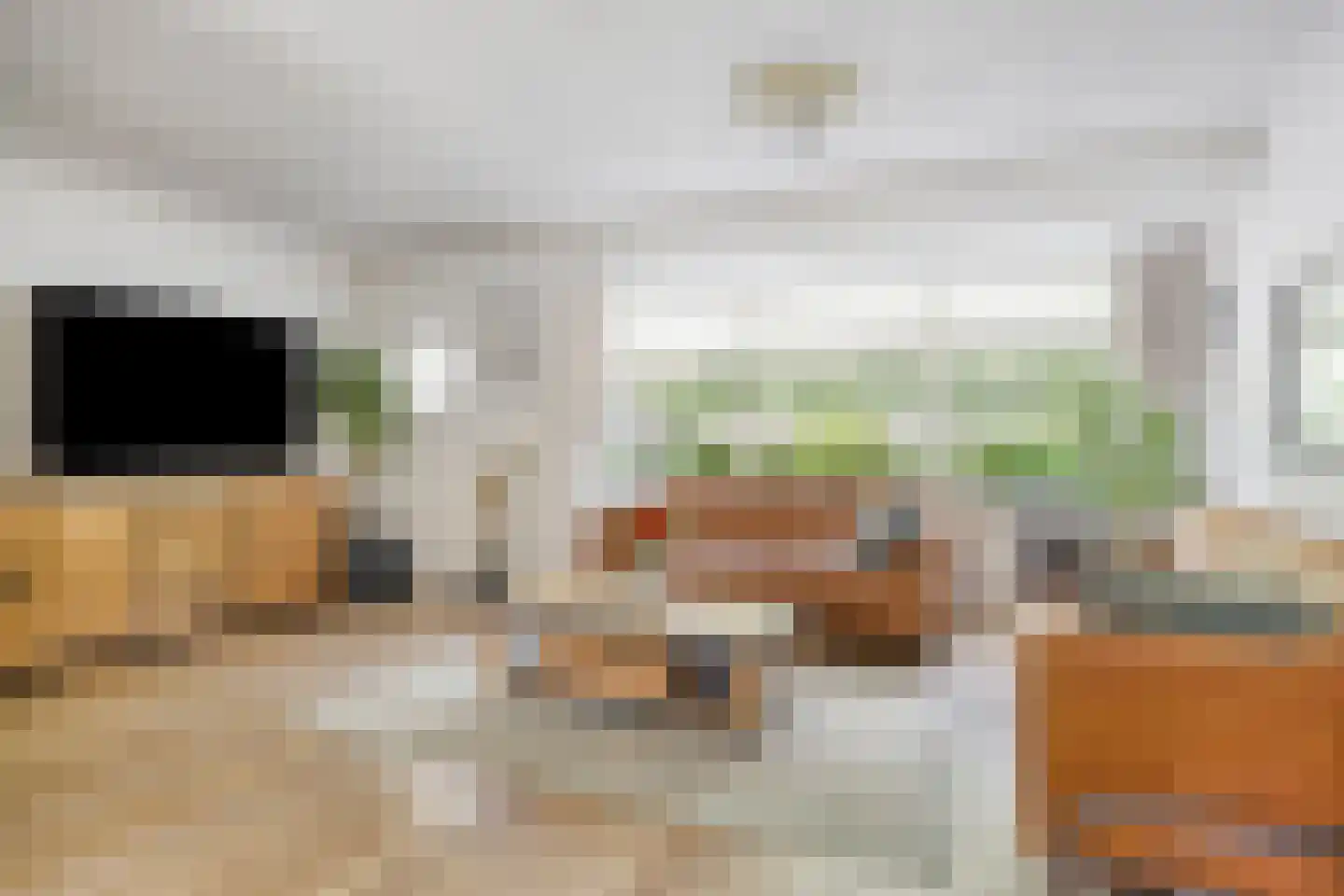 Dierdonklaan 29 Helmond thumbnail 13