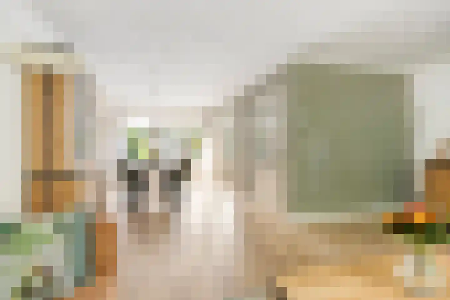 Dierdonklaan 29 Helmond thumbnail 14