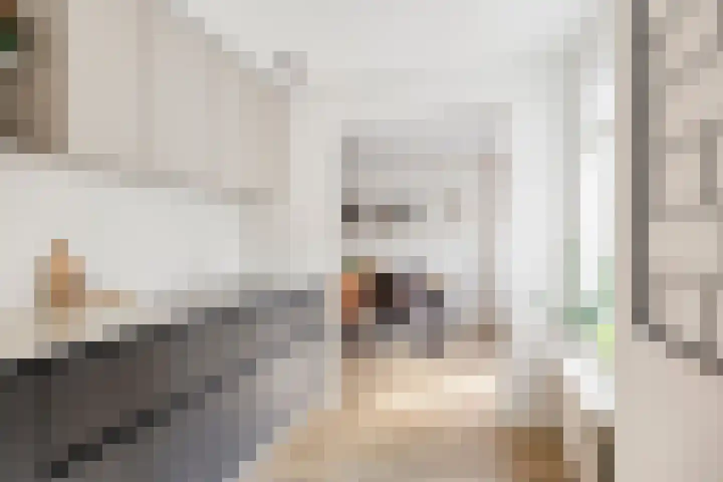 Dierdonklaan 29 Helmond thumbnail 17