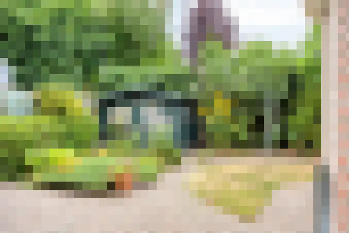 Dierdonklaan 29 Helmond thumbnail 34