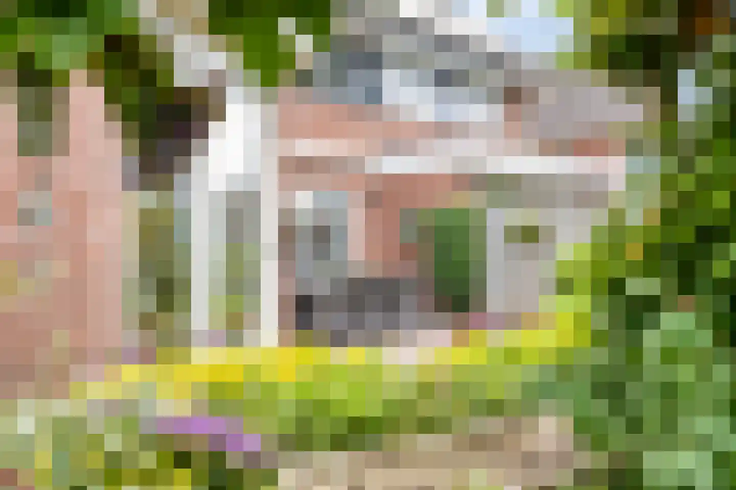 Dierdonklaan 29 Helmond thumbnail 35