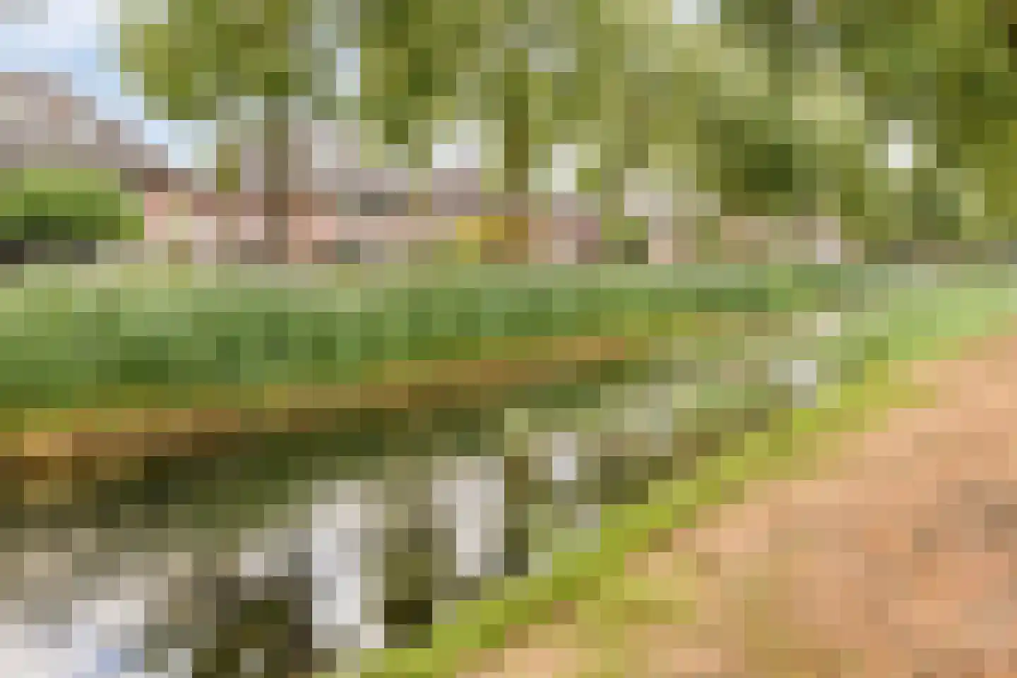 Dierdonklaan 29 Helmond thumbnail 7