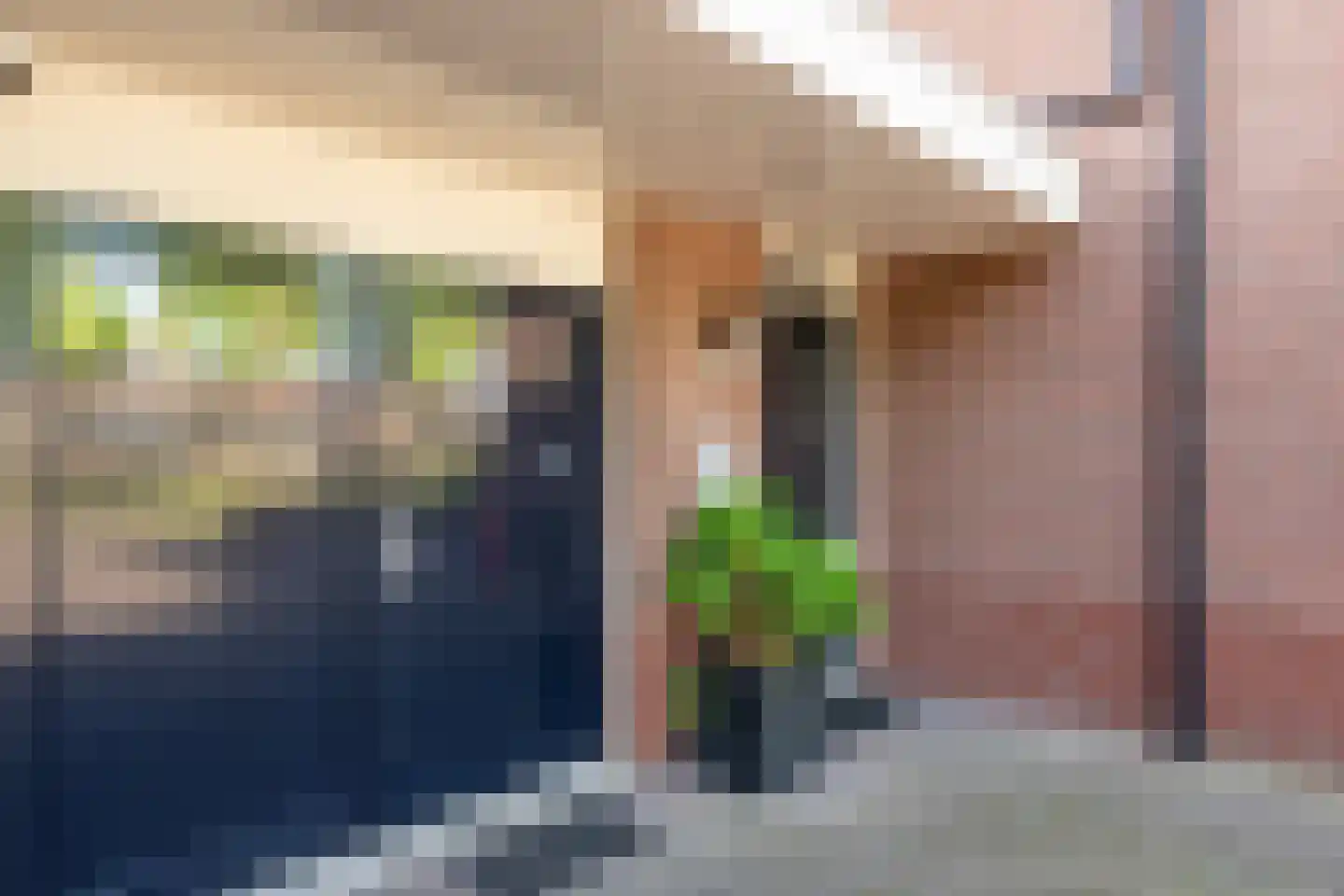 Dierdonklaan 62 Helmond thumbnail 11