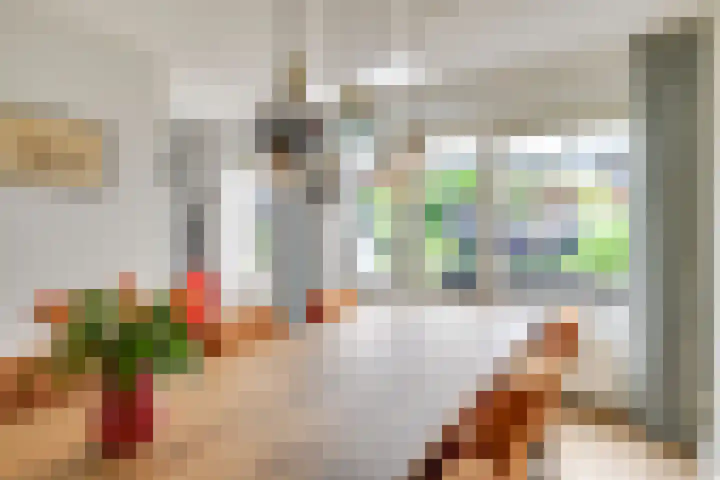 Dierdonklaan 62 Helmond thumbnail 18