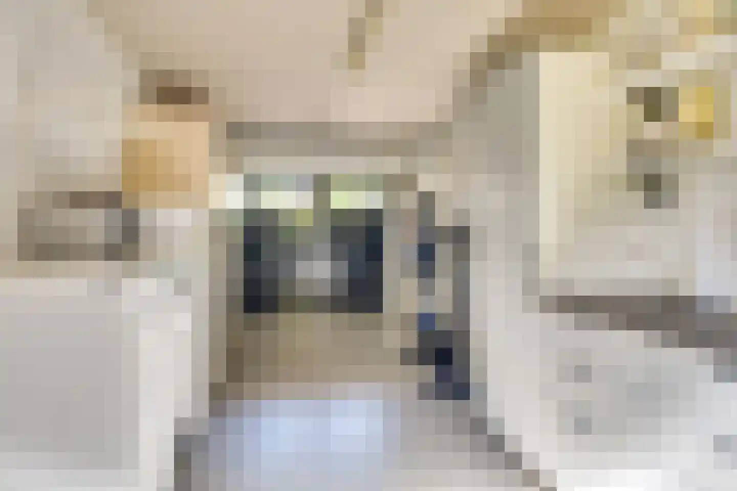 Dierdonklaan 62 Helmond thumbnail 27