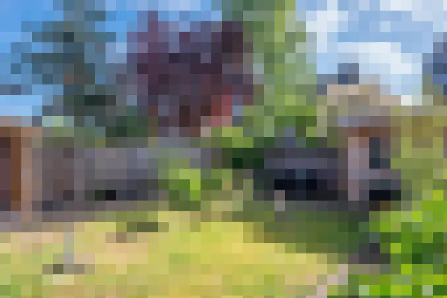 Dierdonklaan 62 Helmond thumbnail 42