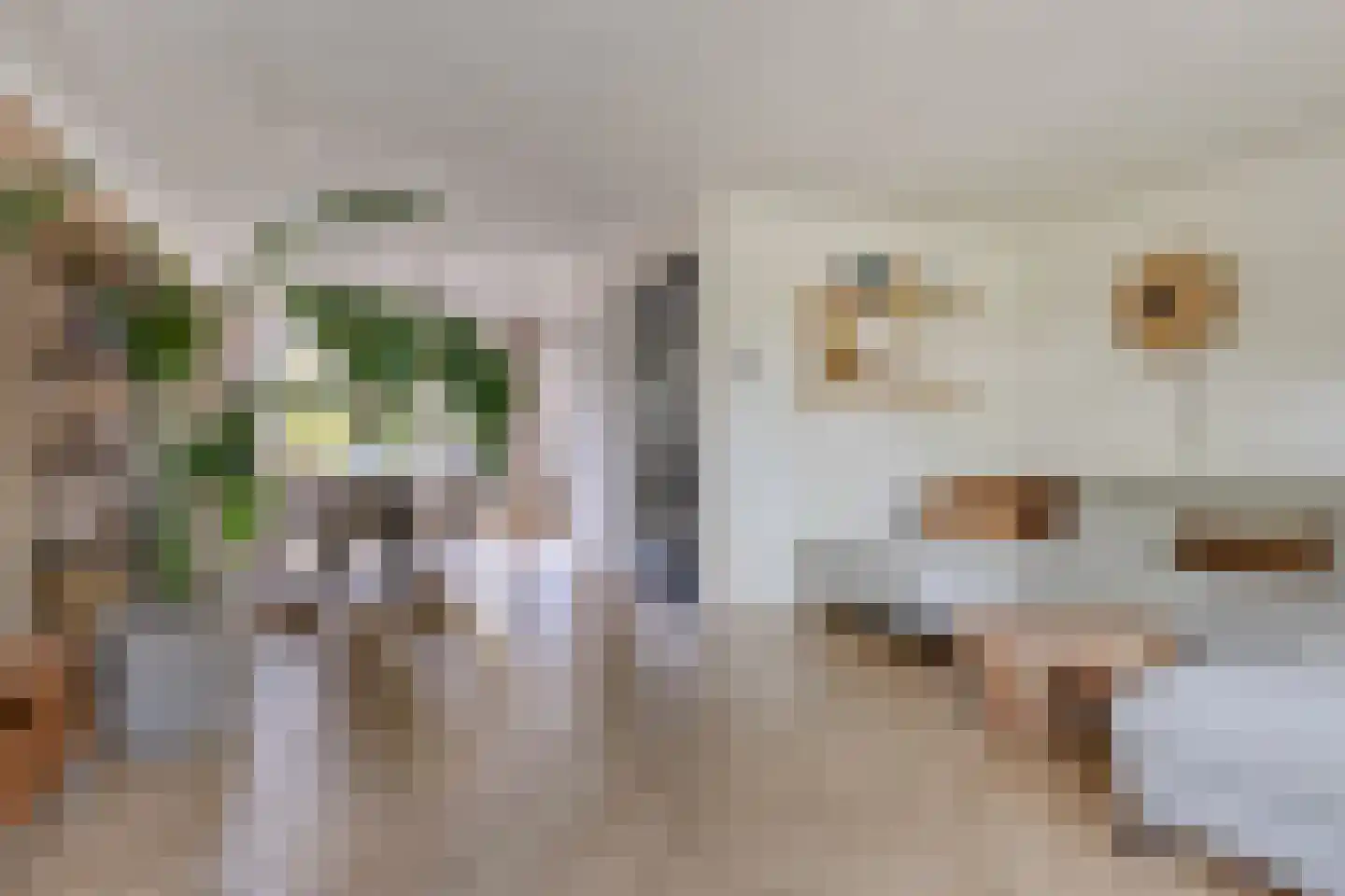 Dierdonklaan 69 Helmond thumbnail 13