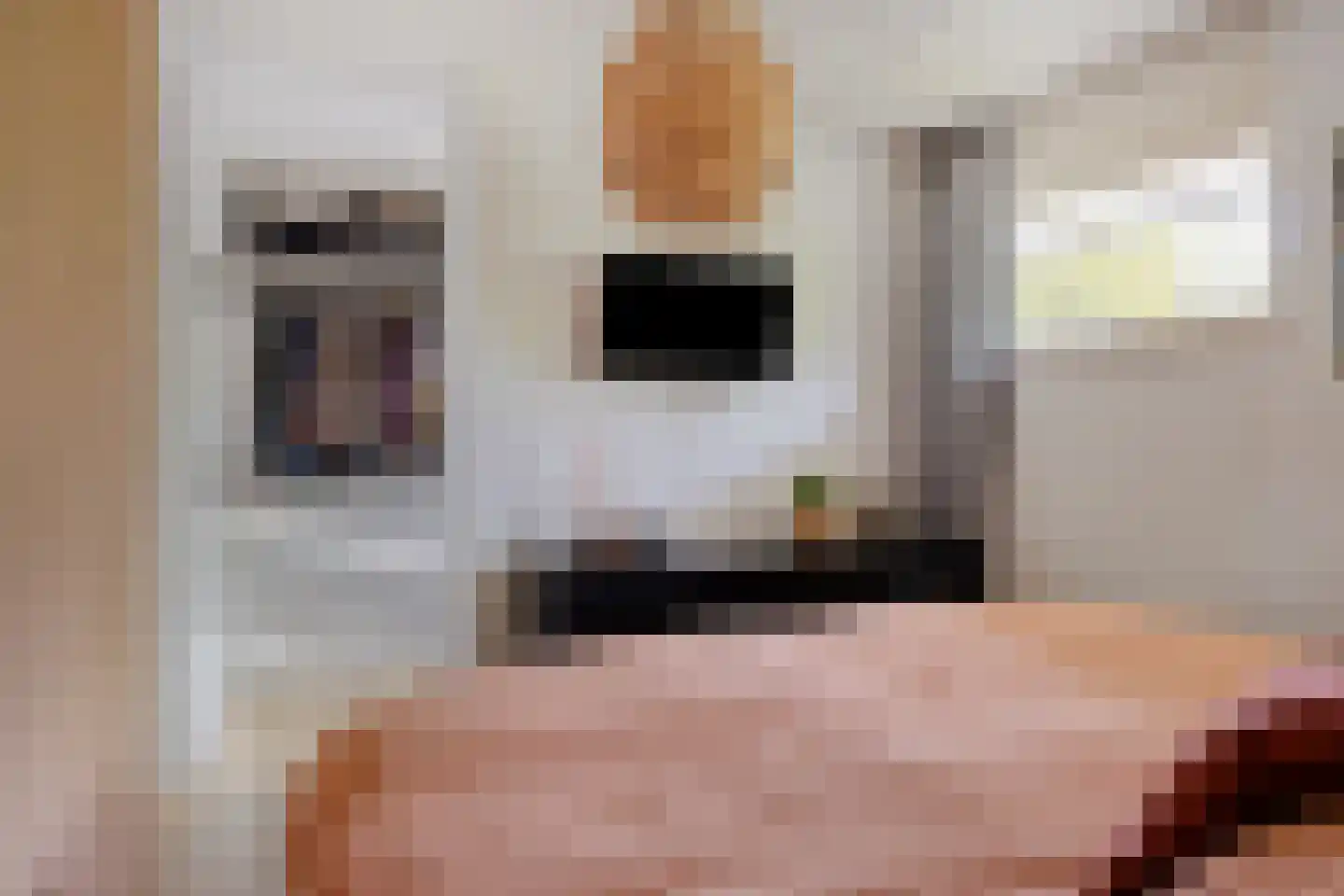 Dierdonklaan 69 Helmond thumbnail 22