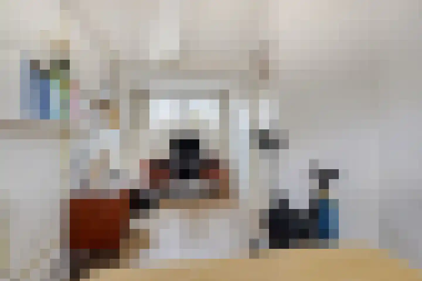 Dierdonklaan 69 Helmond thumbnail 29