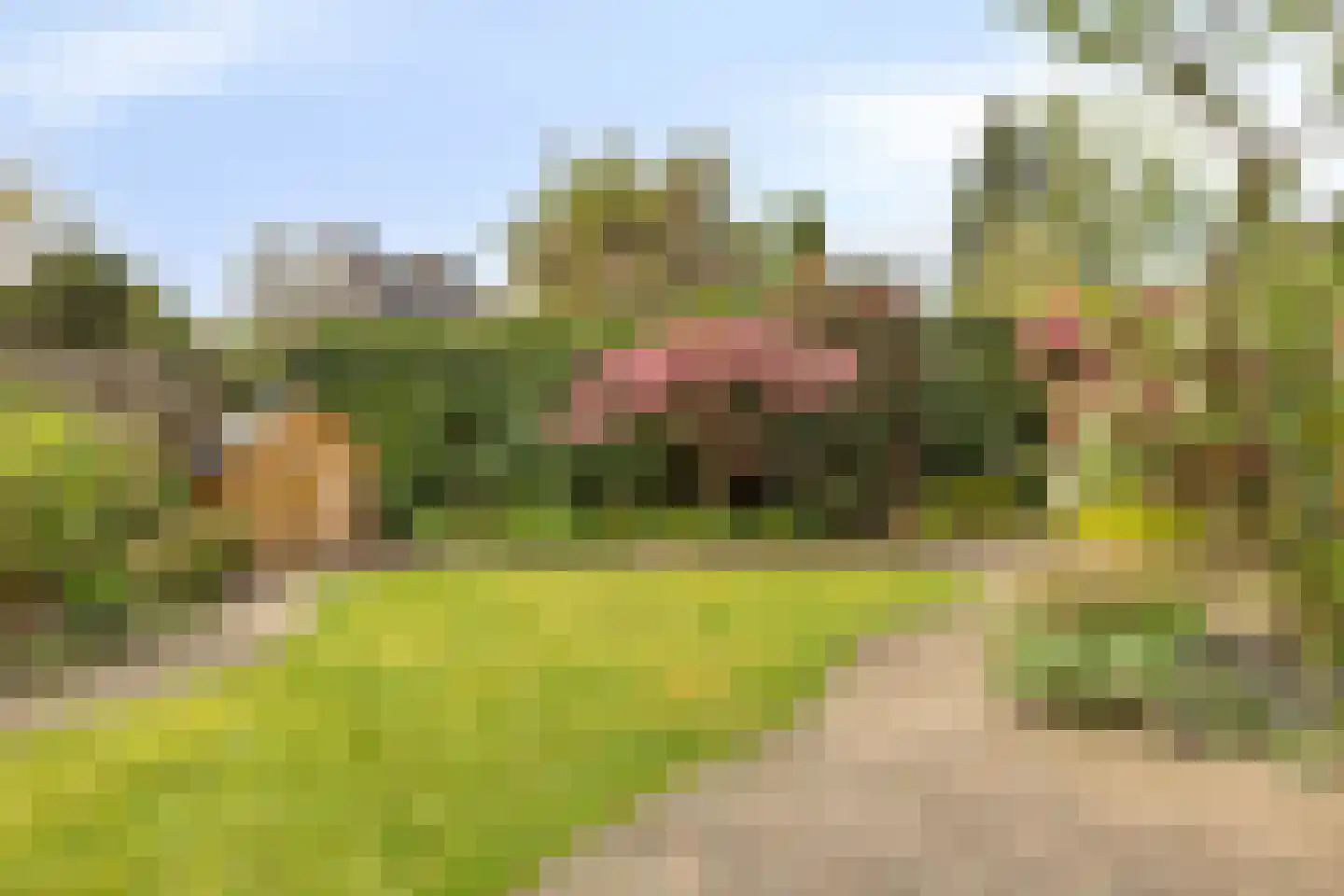 Dierdonklaan 69 Helmond thumbnail 31