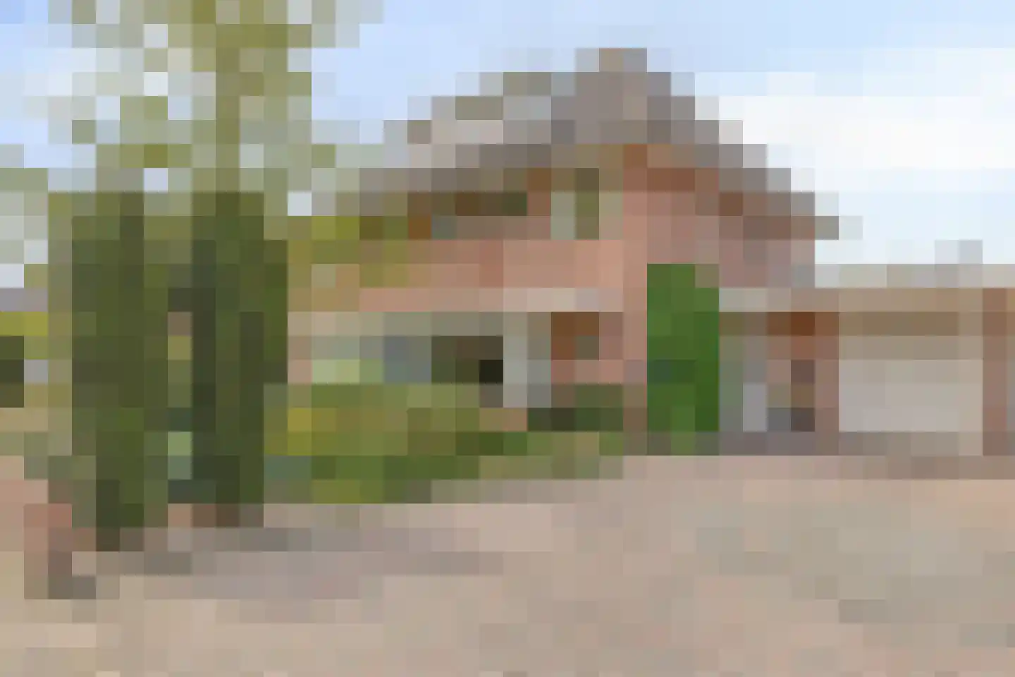 Dierdonklaan 69 Helmond thumbnail 7