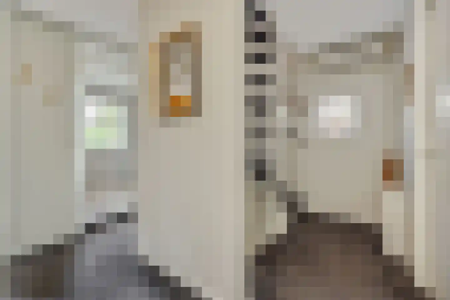 Dierdonklaan 77 Helmond thumbnail 25