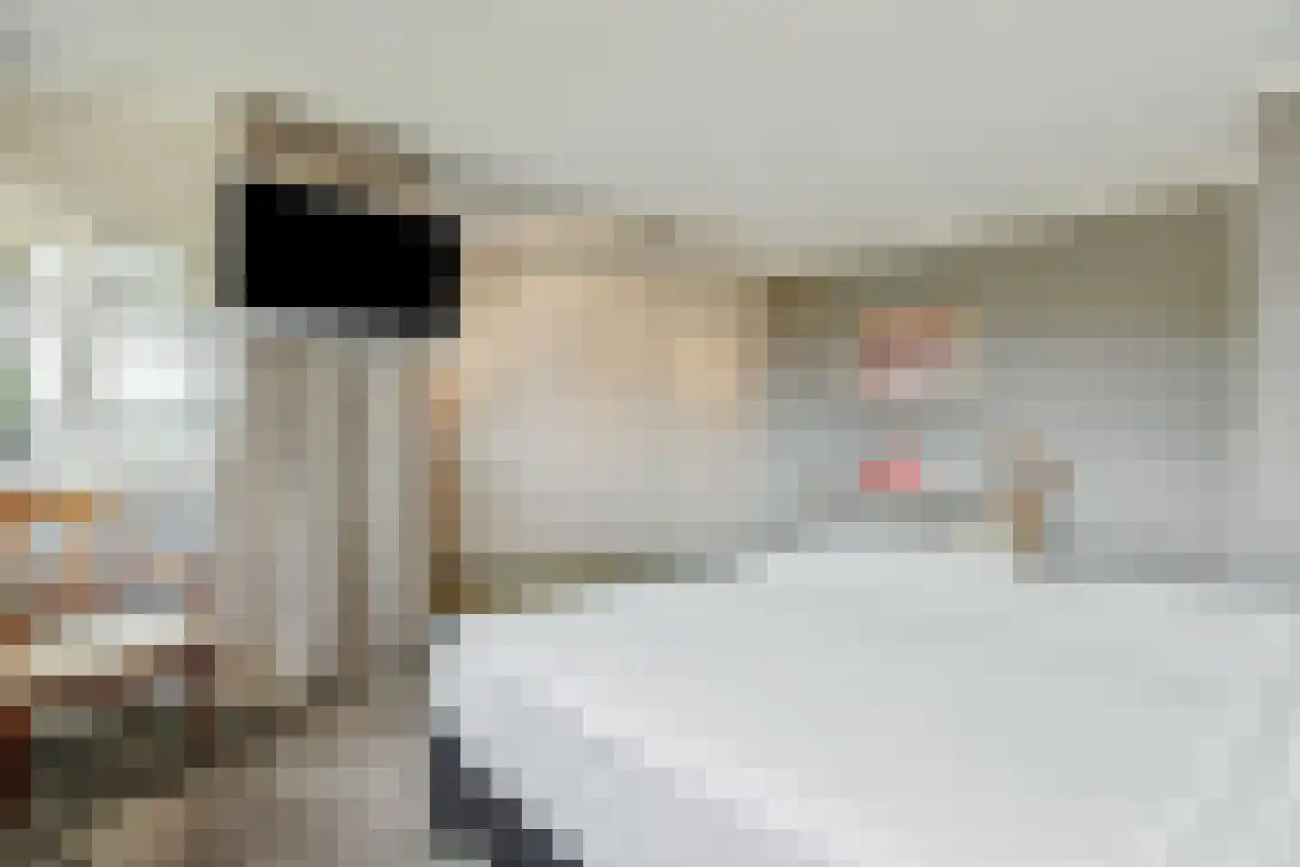 Dierdonklaan 77 Helmond thumbnail 28