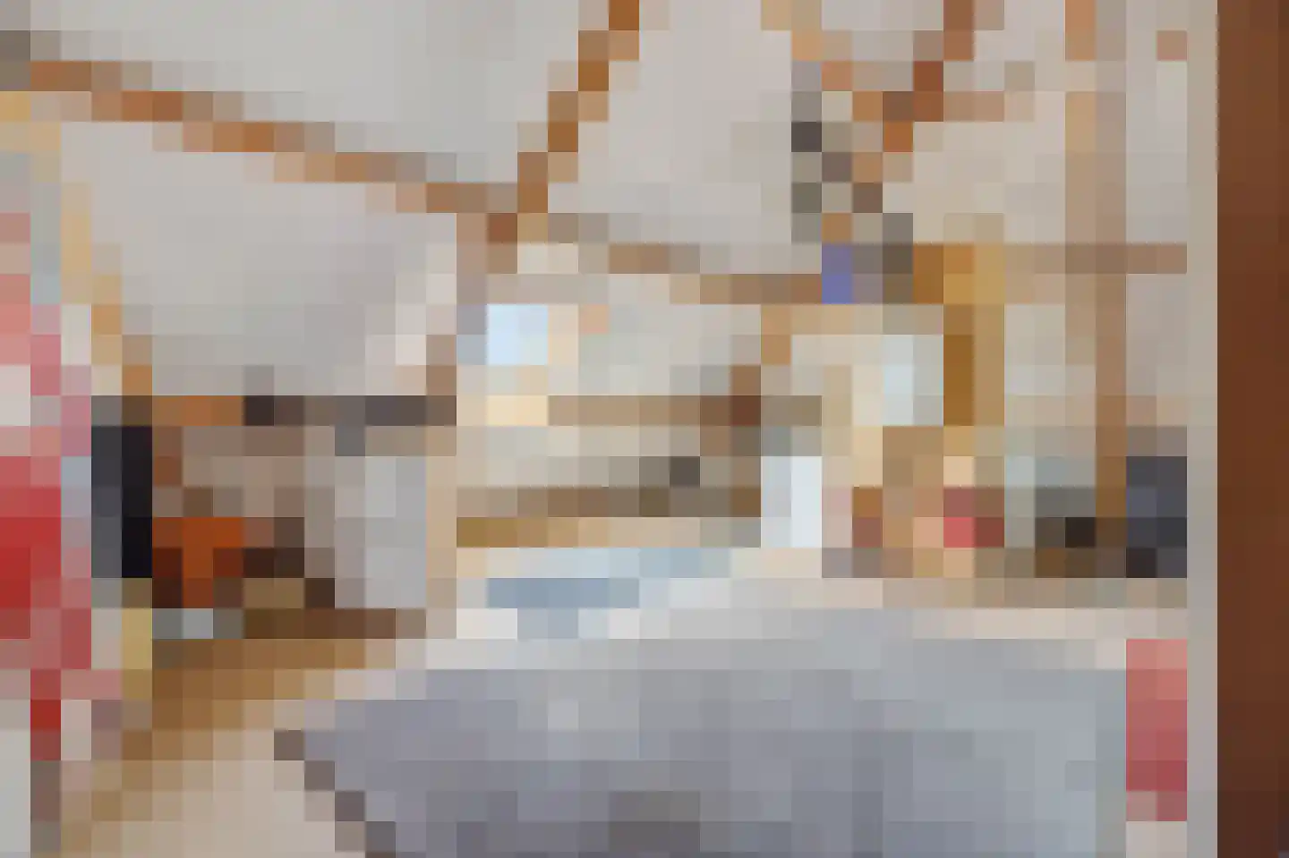 Dierdonklaan 77 Helmond thumbnail 36