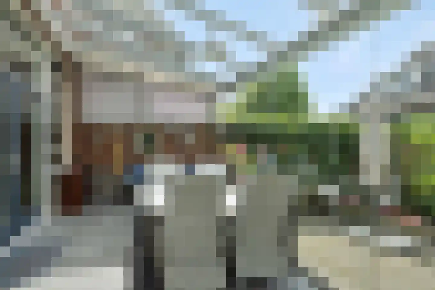 Dierdonklaan 77 Helmond thumbnail 38