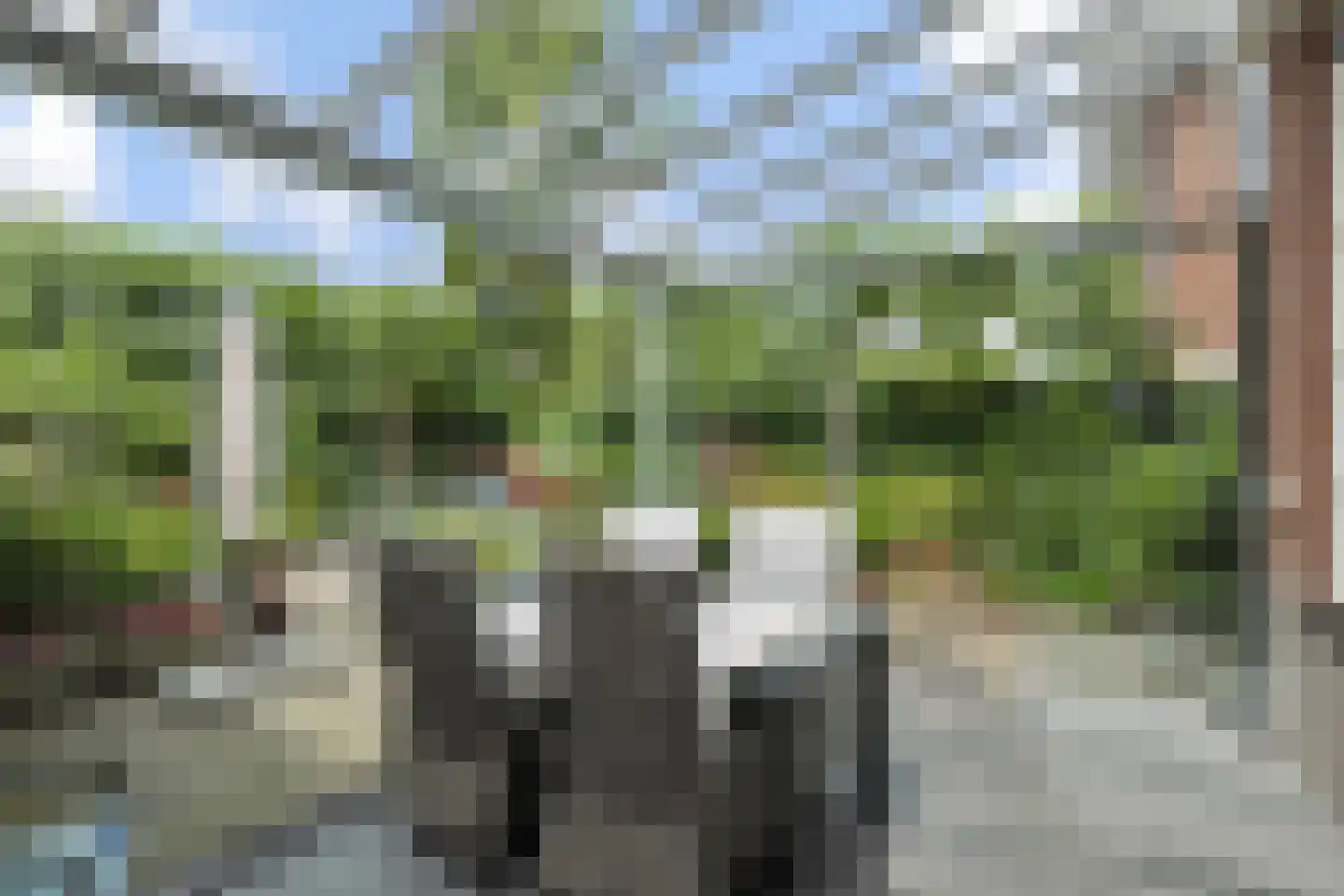 Dierdonklaan 77 Helmond thumbnail 39