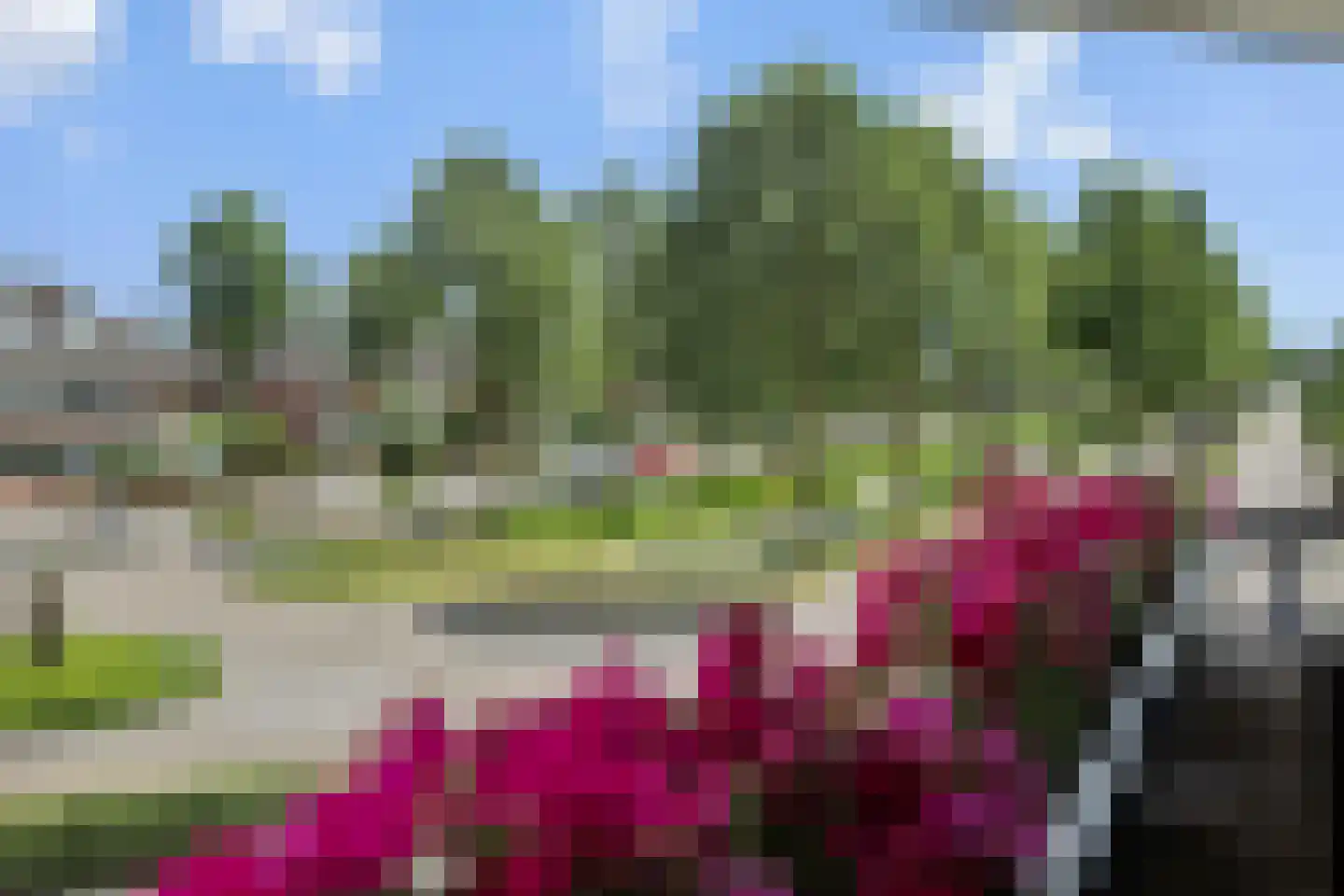 Dierdonklaan 77 Helmond thumbnail 4