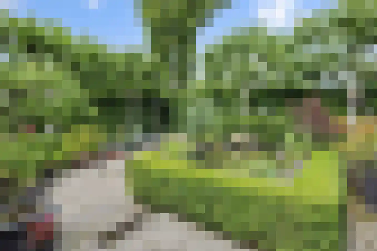 Dierdonklaan 77 Helmond thumbnail 40