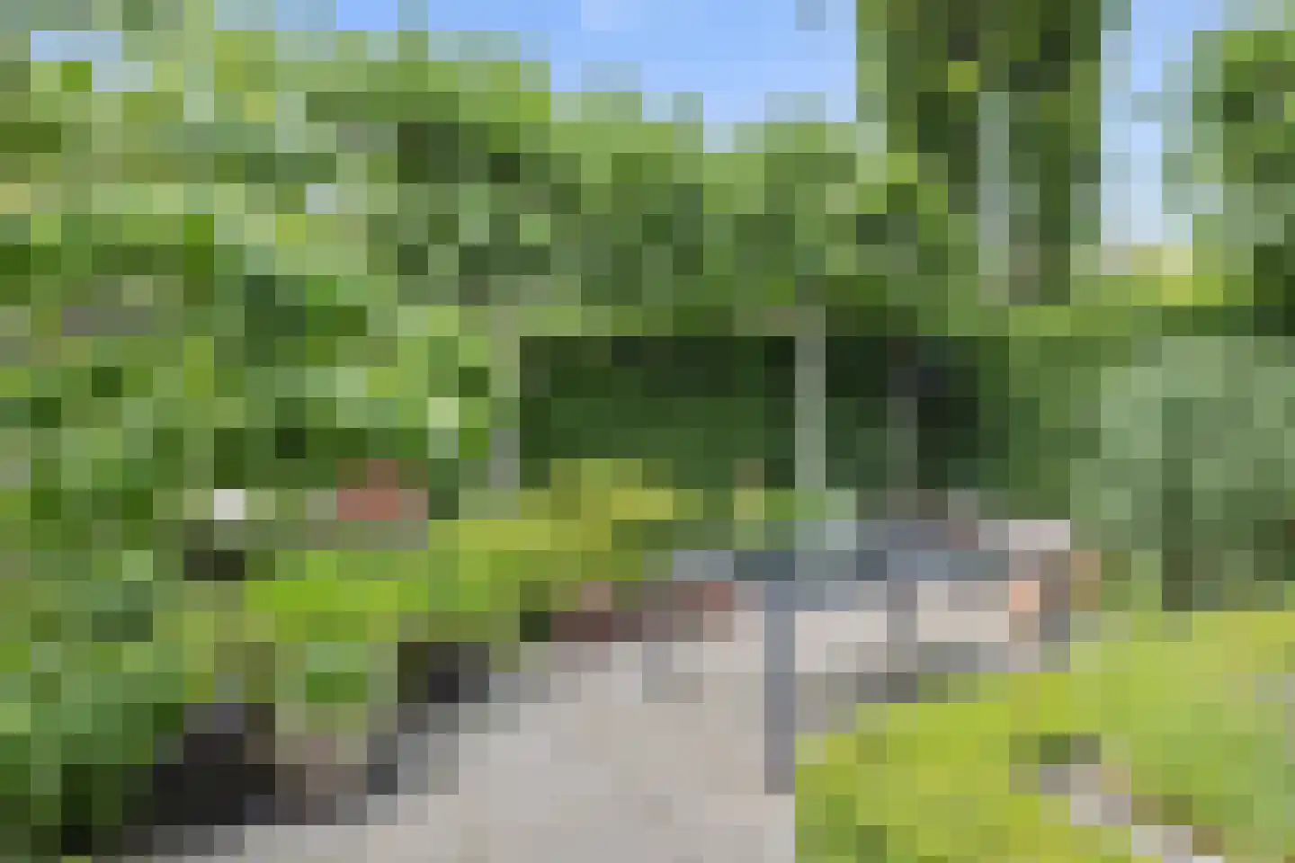 Dierdonklaan 77 Helmond thumbnail 41
