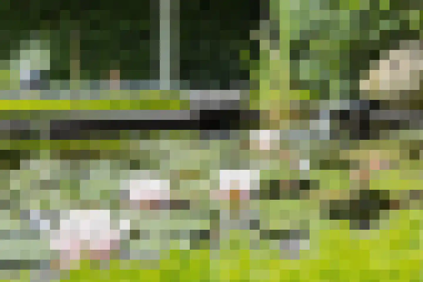 Dierdonklaan 77 Helmond thumbnail 42