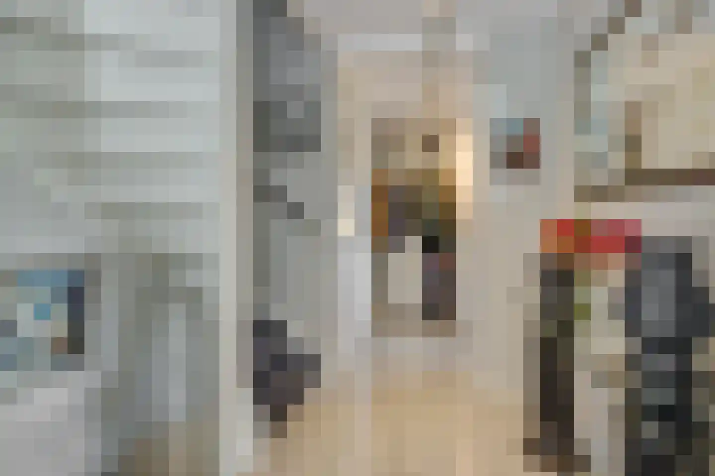 Dierdonklaan 77 Helmond thumbnail 7