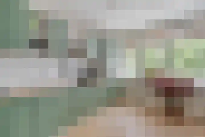 Dierenriem 100 Amsterdam thumbnail 11