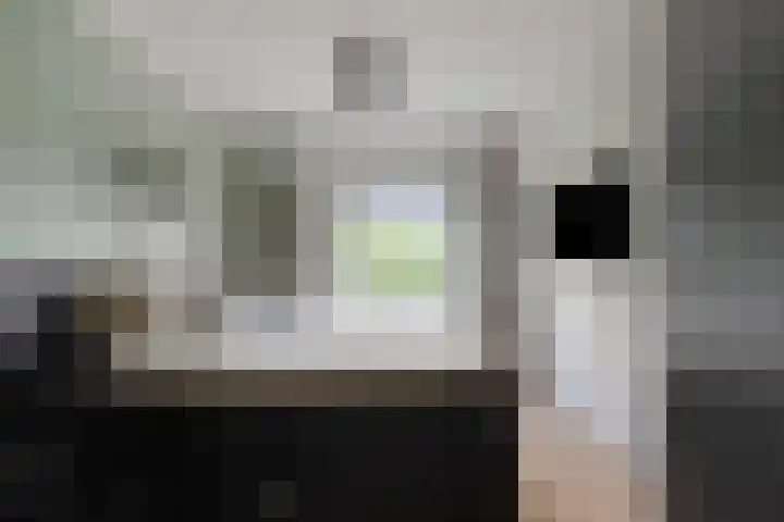 Dierenriem 100 Amsterdam thumbnail 12