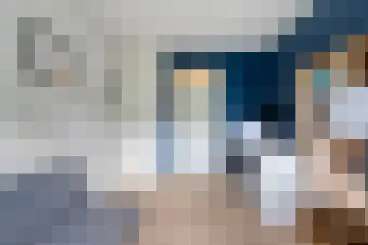 Dierenriem 100 Amsterdam thumbnail 17