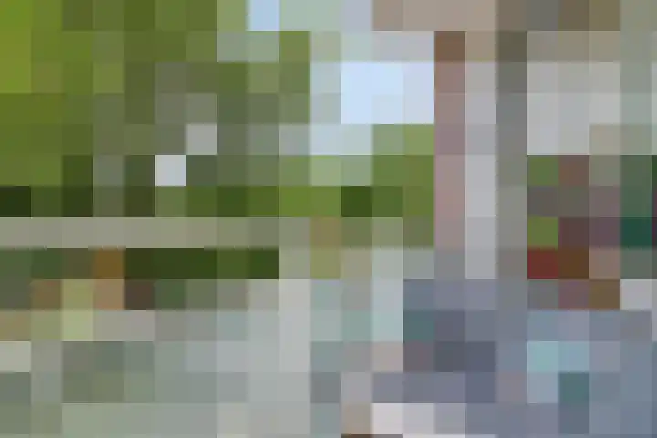 Dierenriem 100 Amsterdam thumbnail 18