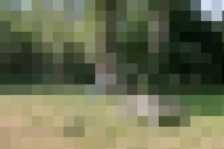 Dierenriem 100 Amsterdam thumbnail 20