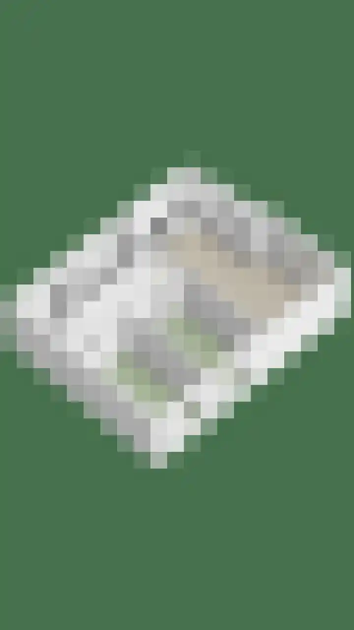 Dierenriem 100 Amsterdam thumbnail 23
