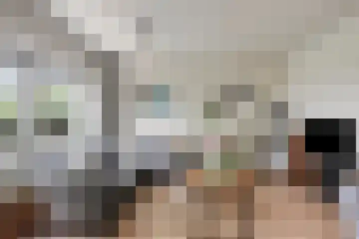 Dierenriem 100 Amsterdam thumbnail 6