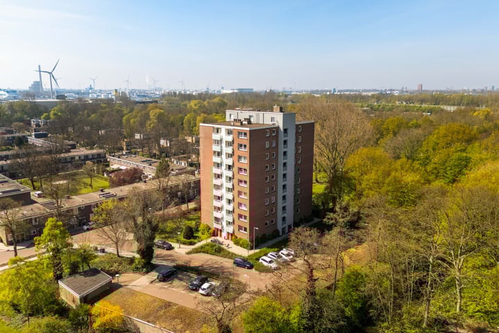 Dierenriem 102 in Amsterdam Foto