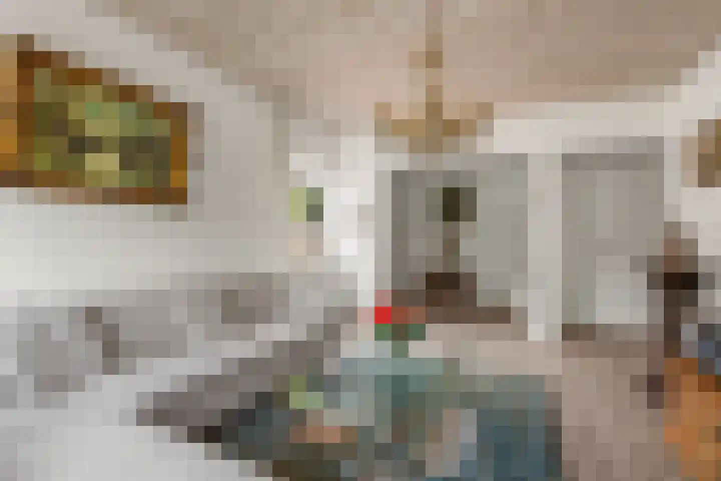 Dierenriem 11 Maartensdijk thumbnail 15