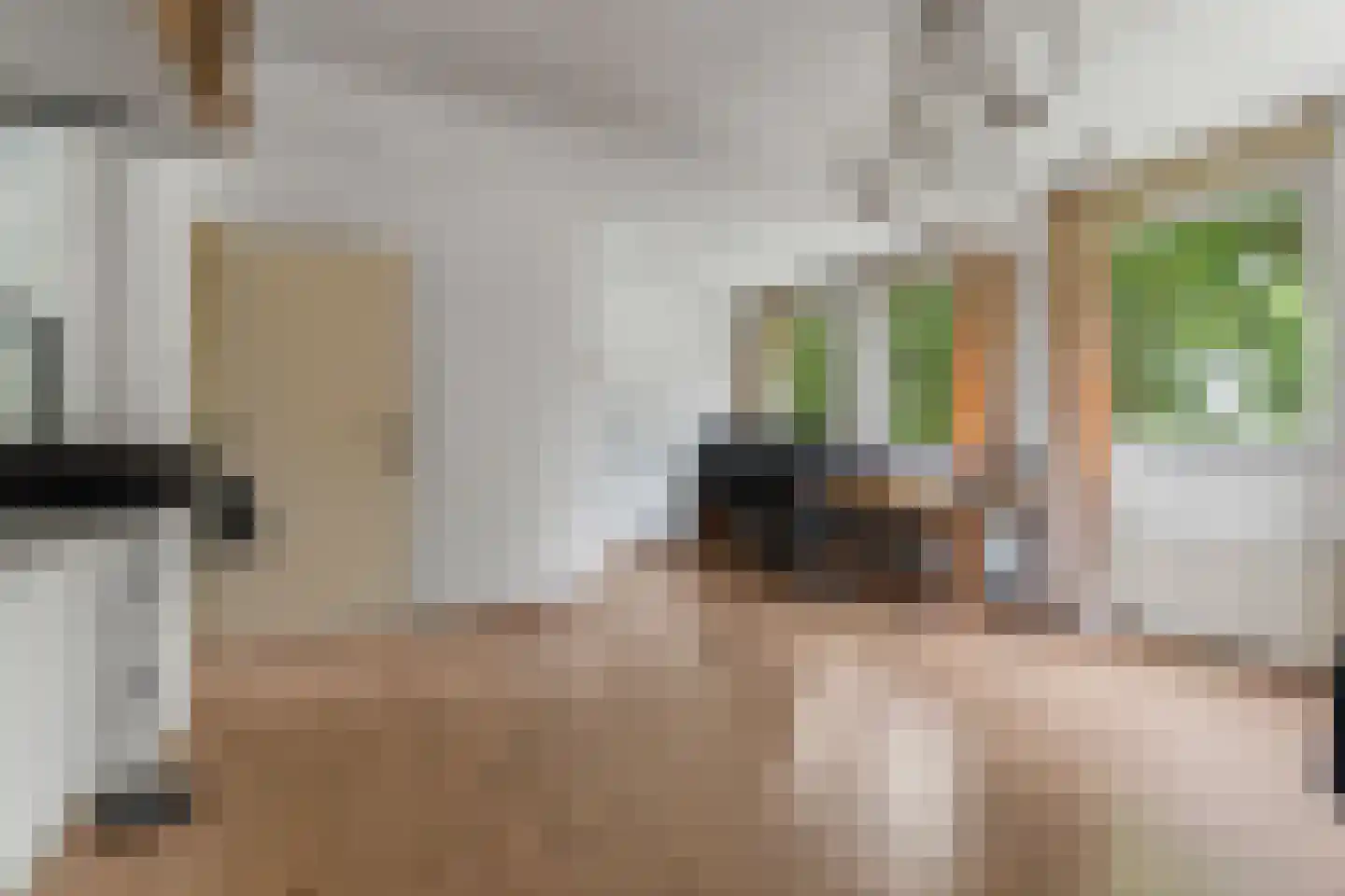 Dierenriem 11 Maartensdijk thumbnail 32