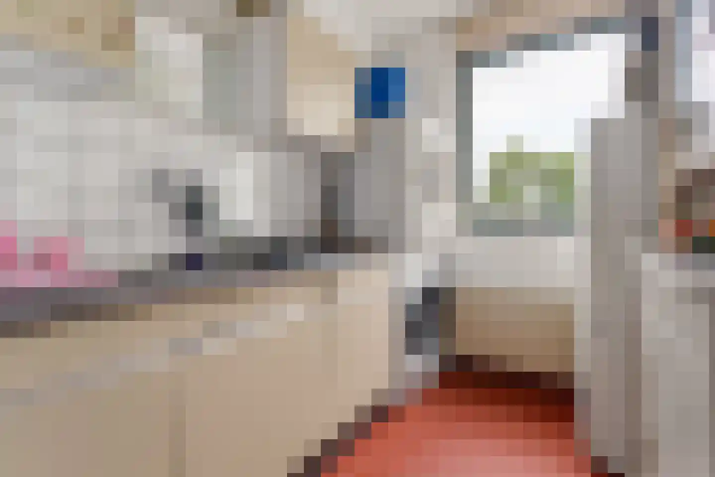 Dierenriem 11 Maartensdijk thumbnail 33