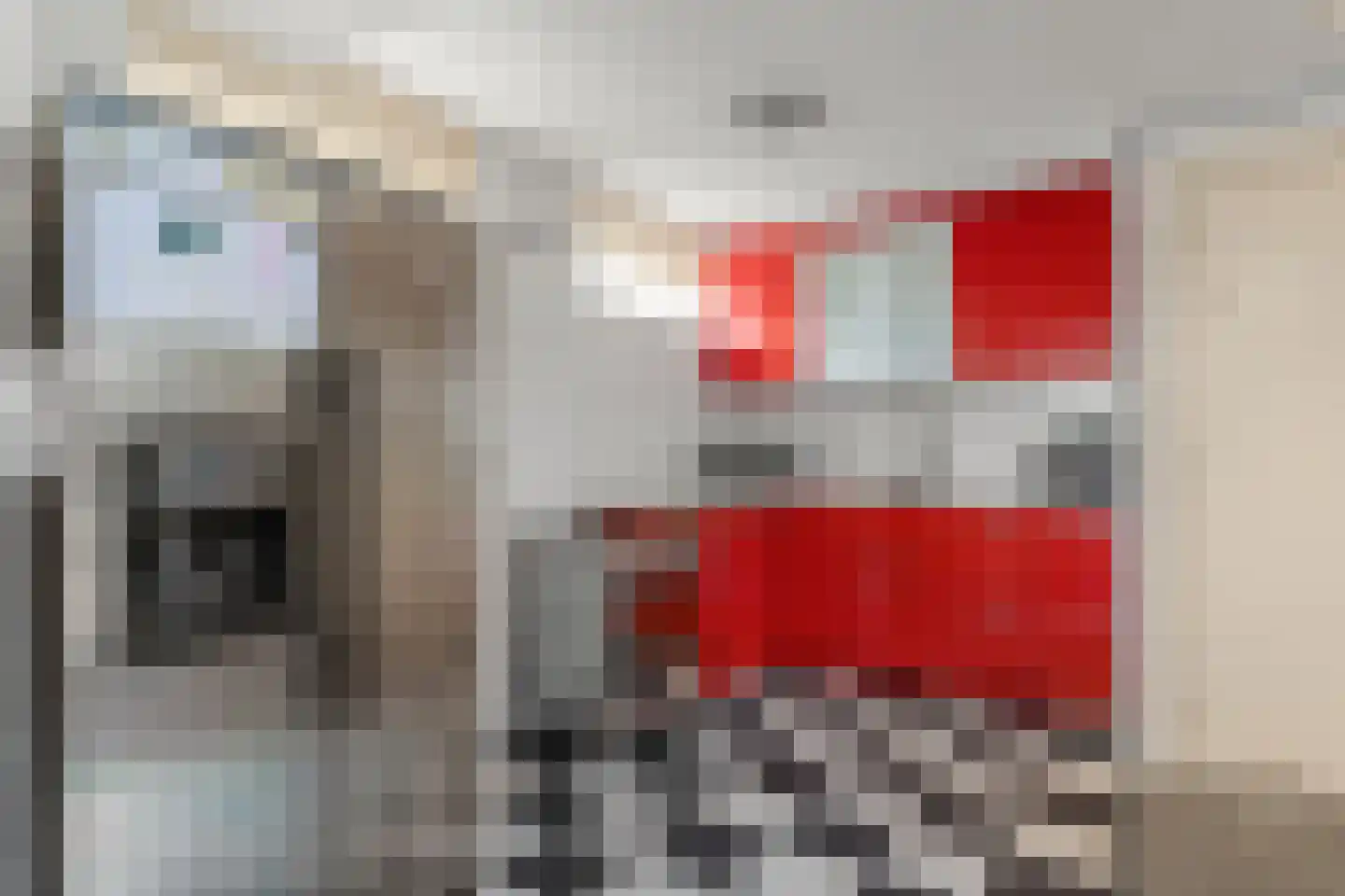 Dierenriem 11 Maartensdijk thumbnail 46