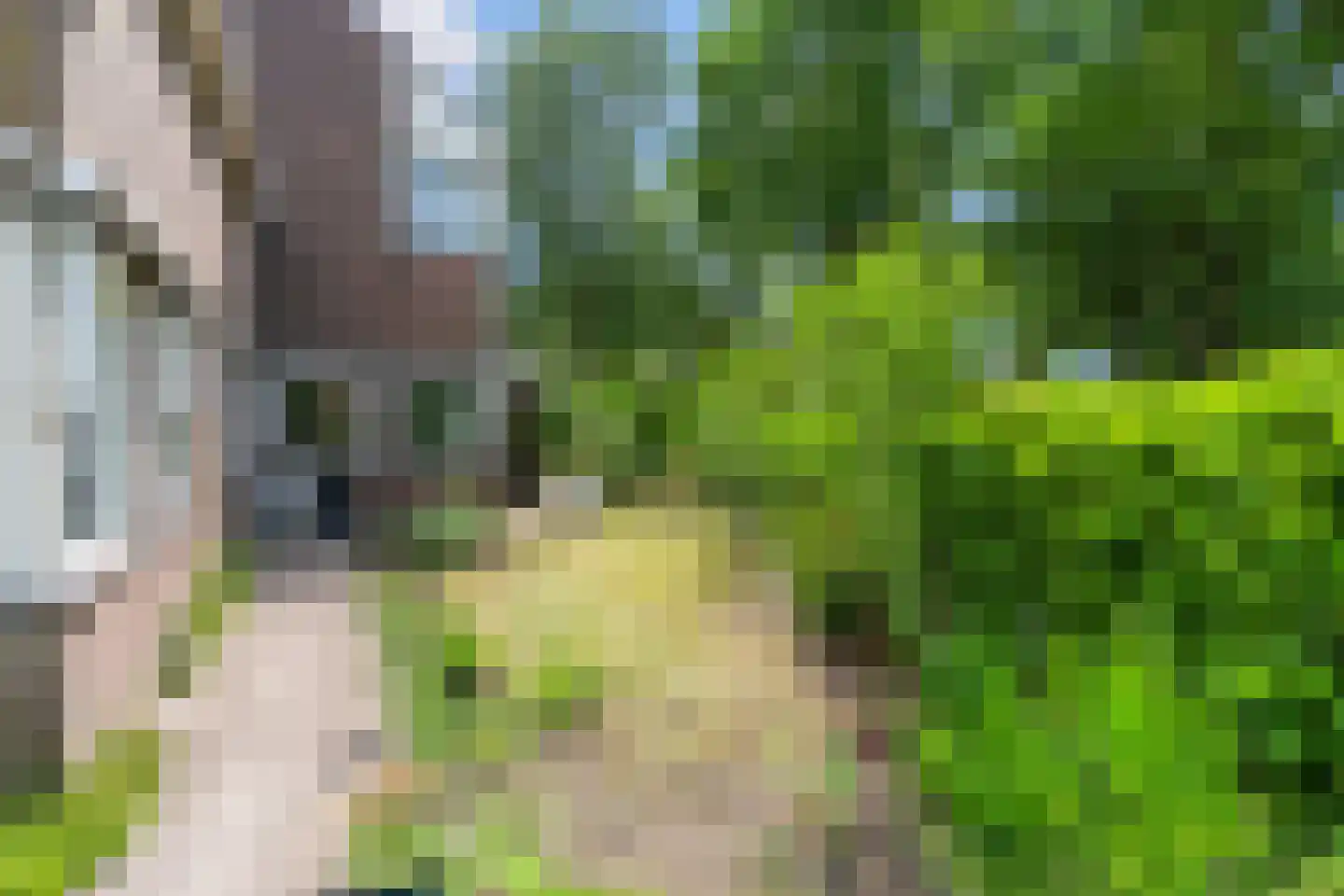 Dierenriem 11 Maartensdijk thumbnail 53