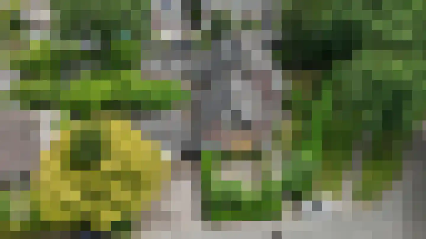 Dierenriem 11 Maartensdijk thumbnail 55