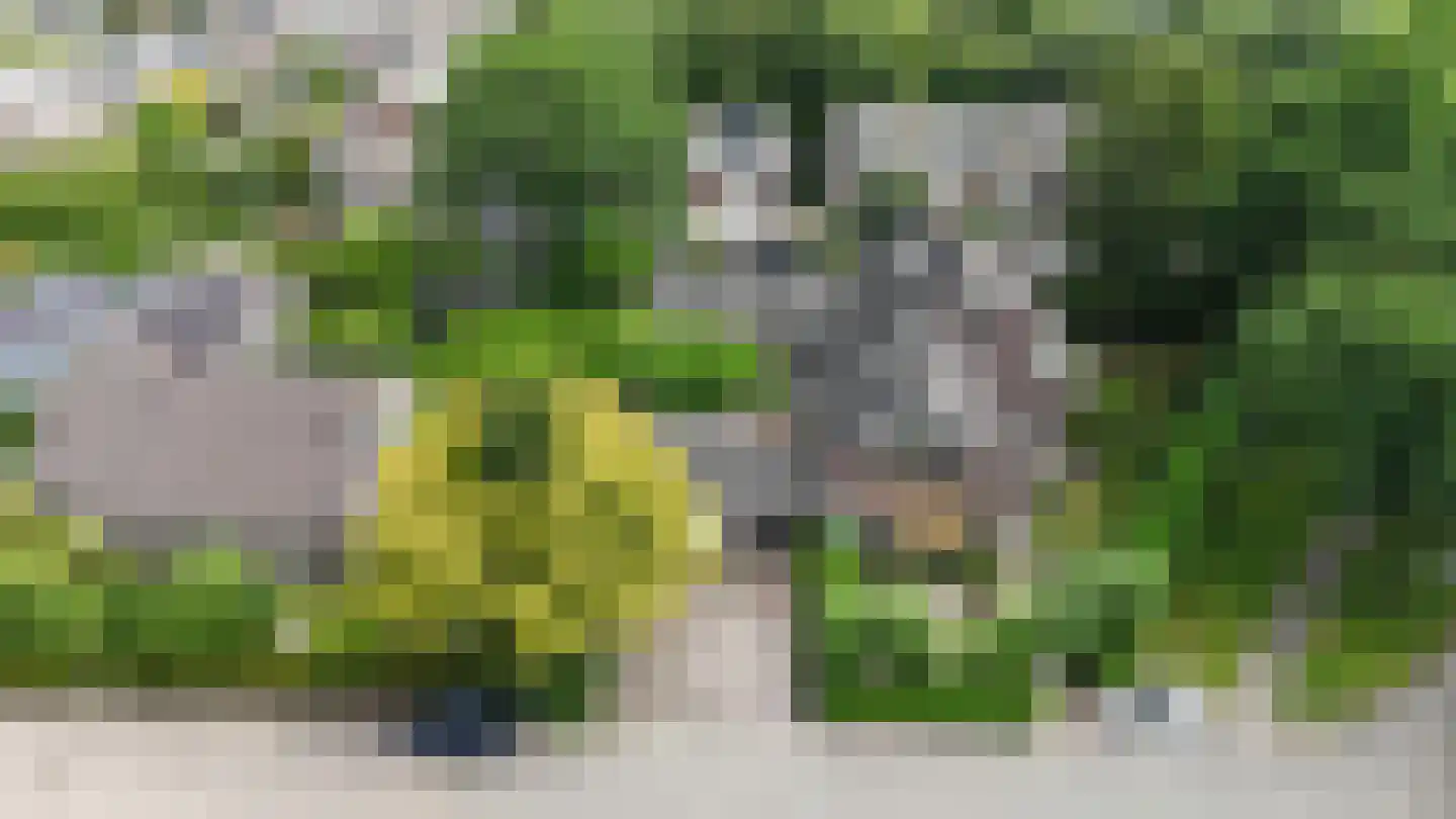 Dierenriem 11 Maartensdijk thumbnail 56