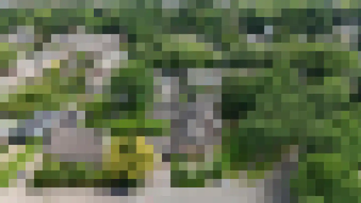 Dierenriem 11 Maartensdijk thumbnail 57