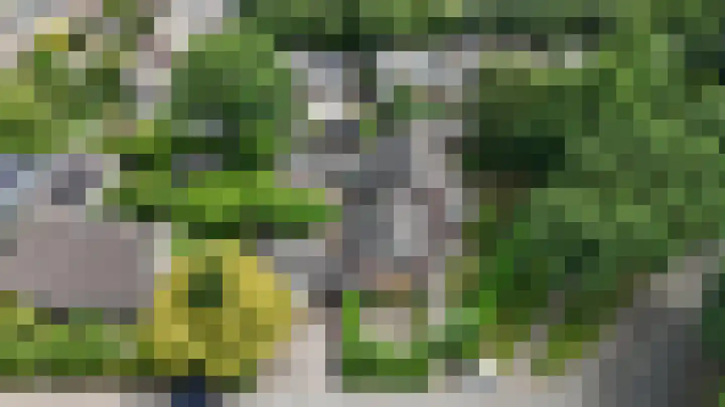 Dierenriem 11 Maartensdijk thumbnail 58