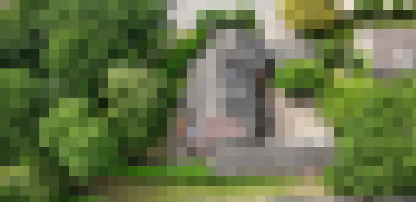 Dierenriem 11 Maartensdijk thumbnail 59